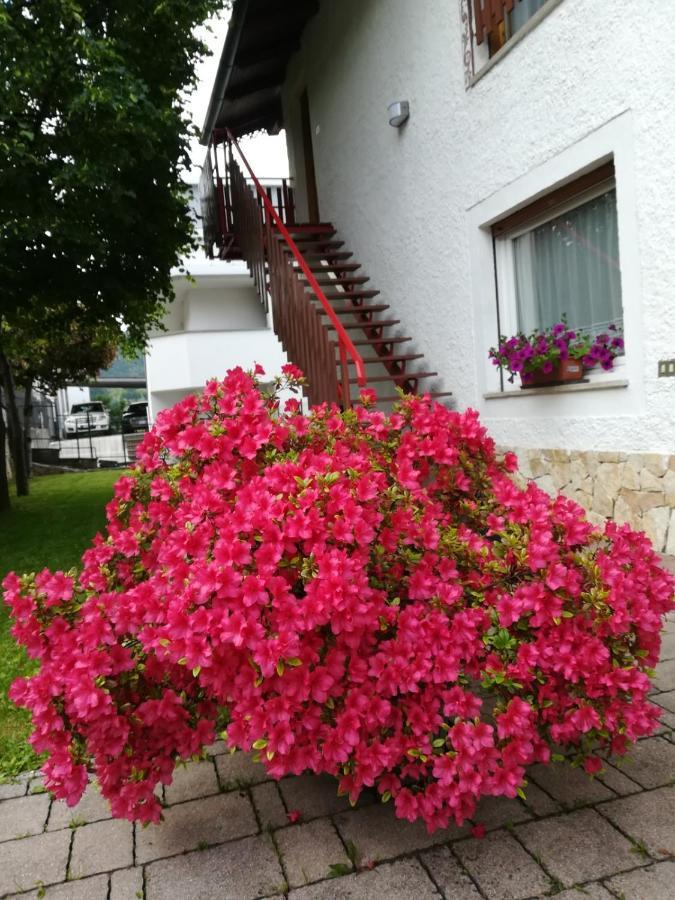 Casa Valcanover Pergine Valsugana Buitenkant foto