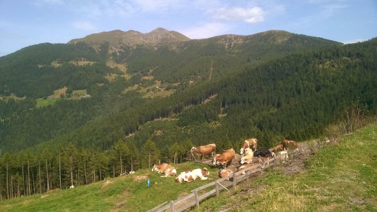 Casa Valcanover Pergine Valsugana Buitenkant foto
